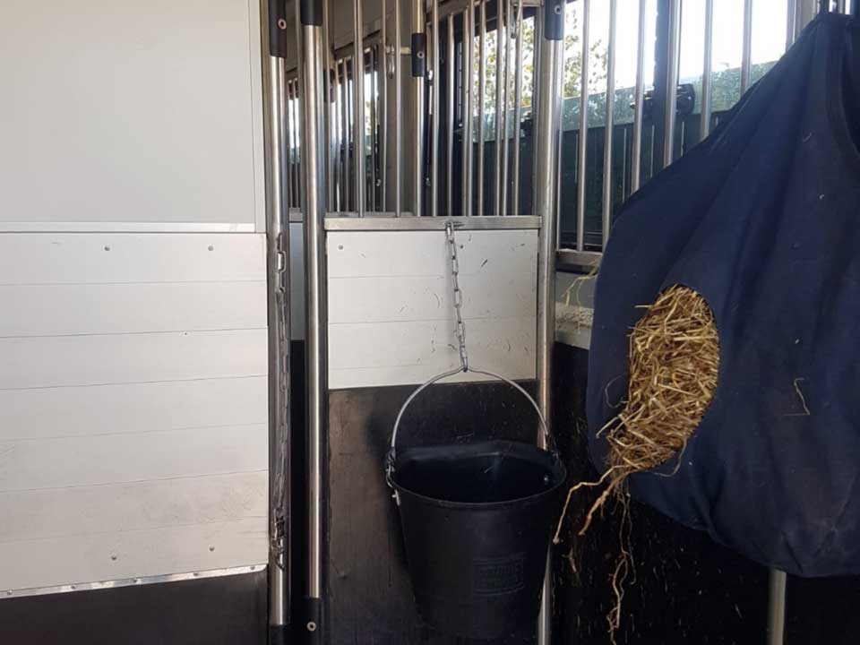 TRANSPORT CHEVAUX en Belgique, Europe et à l
